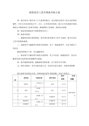 销售部员工晋升降级考核方案（人力资源资料文件）.docx