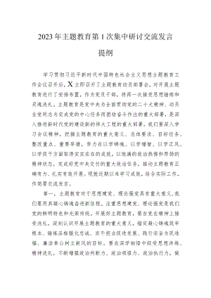 2023年主题教育第1次集中研讨交流发言提纲.docx
