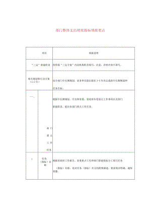 部门整体支出绩效指标填报要点.docx