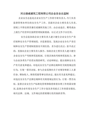10-安全总监制度.docx