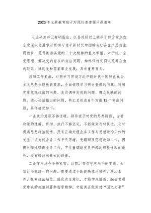 2023年主题教育班子对照检查查摆问题清单.docx