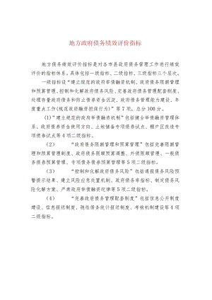 地方政府债务绩效评价指标.docx