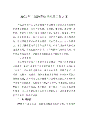 2023年主题教育检视问题工作方案(5).docx