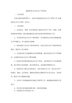抽放队队长安全生产责任制.docx