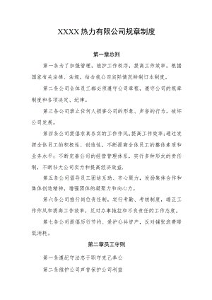 热力有限公司规章制度.docx