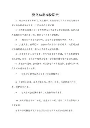 财务总监岗位职责.docx