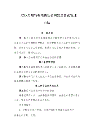 燃气有限责任公司安全会议管理办法.docx