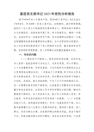 基层党支部书记2023年党性分析报告.docx