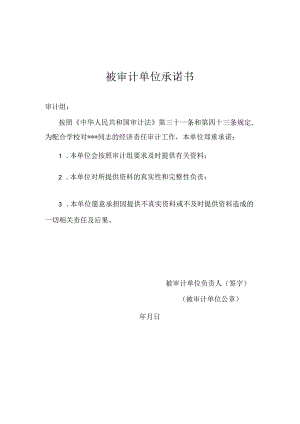 被审计单位承诺书.docx