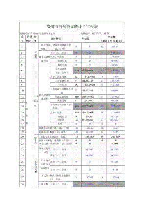 鄂州市自然资源统计半年报表.docx