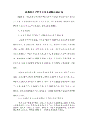 县委副书记民主生活会对照检查材料.docx