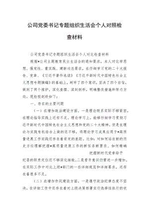 公司党委书记专题组织生活会个人对照检查材料.docx