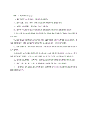 煤矿11种严重违法行为.docx