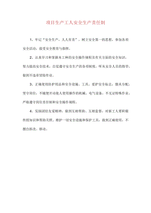 项目生产工人安全生产责任制.docx