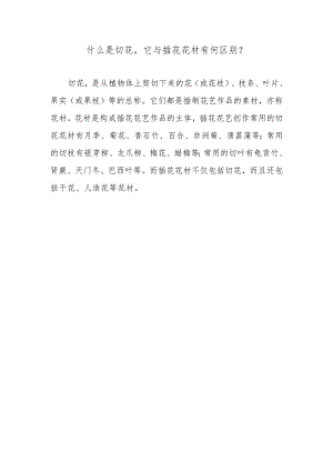 什么是切花它与插花花材有何区别？.docx