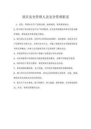 项目安全管理人员安全管理职责模板范本.docx