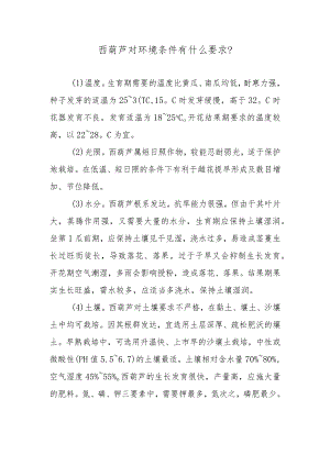 西葫芦对环境条件有什么要求.docx