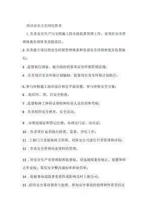 项目安全主任岗位职责模板范本.docx