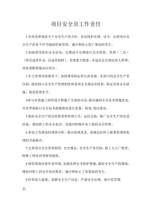 项目安全员工作责任模板范本.docx