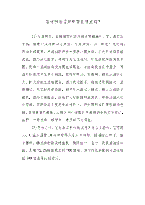 怎样防治番茄细菌性斑点病.docx