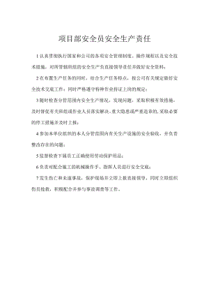 项目部安全员安全生产责任模板范本.docx
