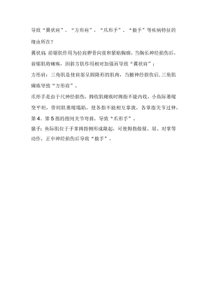 导致“翼状肩”等疾病所致原因.docx