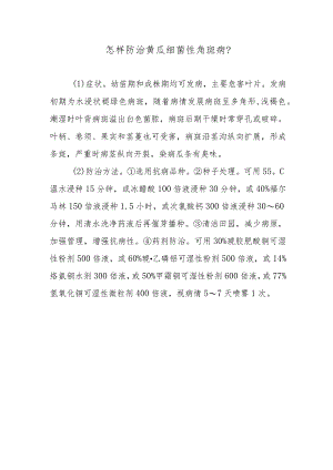 怎样防治黄瓜细菌性角斑病.docx