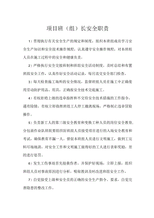项目班(组)长安全职责模板范本.docx