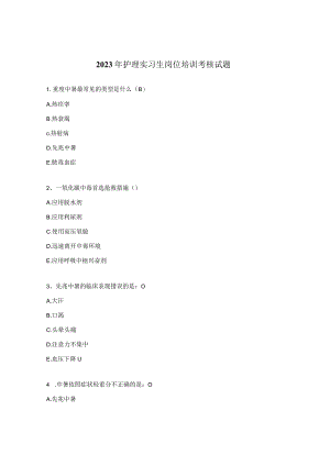2023年护理实习生岗位培训考核试题.docx