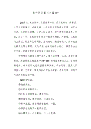 怎样防治莴苣灰霉病.docx