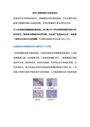 2023病理诊断中的免疫组化.docx