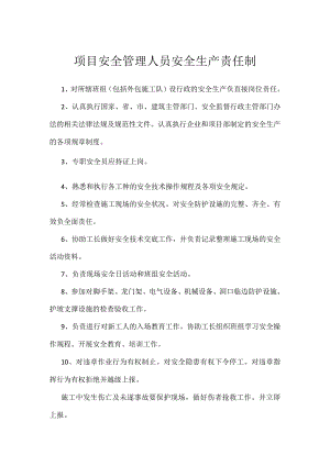 项目安全管理人员安全生产责任制模板范本.docx