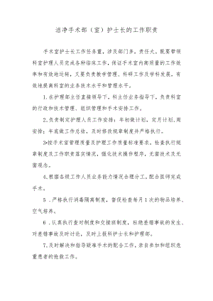 洁净手术部（室）护士长的工作职责.docx