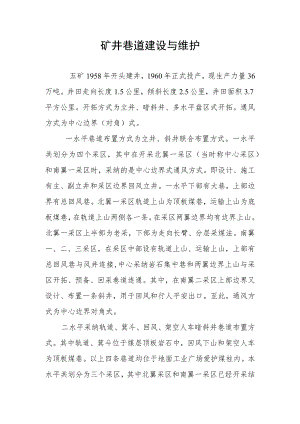 矿井巷道建设与维护.docx