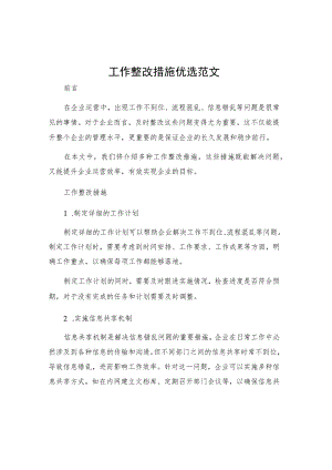 工作整改措施优选范文.docx
