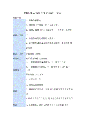 2023年人体损伤鉴定标准一览表.docx
