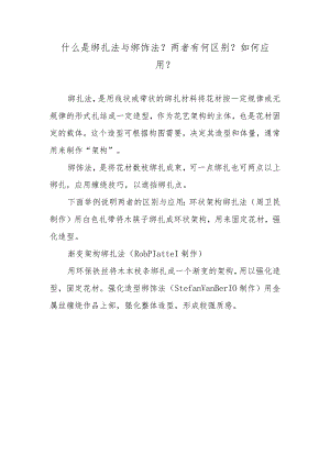 什么是绑扎法与绑饰法？两者有何区别？如何应用？.docx