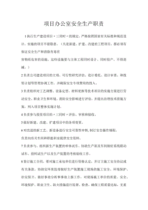 项目办公室安全生产职责模板范本.docx