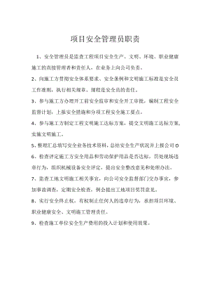 项目安全管理员职责模板范本.docx