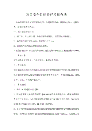 项目安全目标责任考核办法模板范本.docx