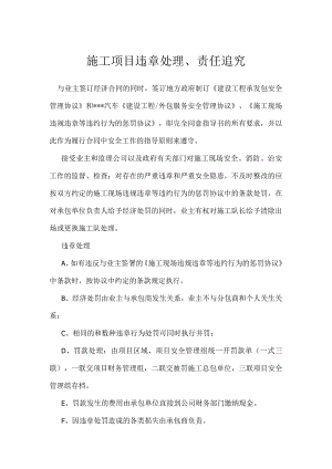 施工项目违章处理、责任追究模板范本.docx