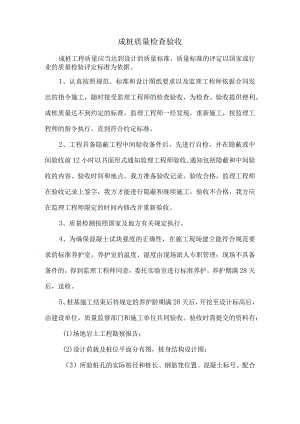 成桩质量检查验收.docx