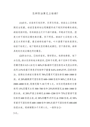 怎样防治黄瓜立枯病.docx