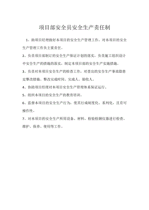 项目部安全员安全生产责任制模板范本.docx