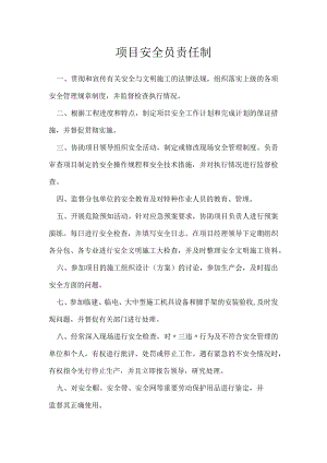 项目安全员责任制模板范本.docx