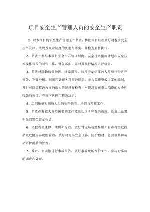 项目安全生产管理人员的安全生产职责模板范本.docx