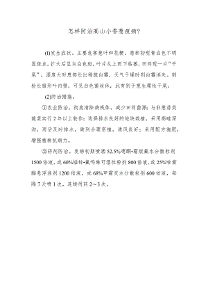 怎样防治高山小香葱疫病.docx