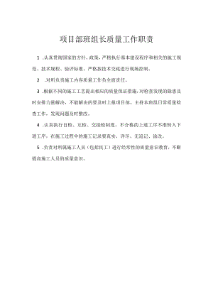 项目部班组长质量工作职责模板范本.docx