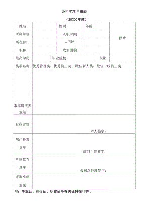 公司奖项申报表.docx