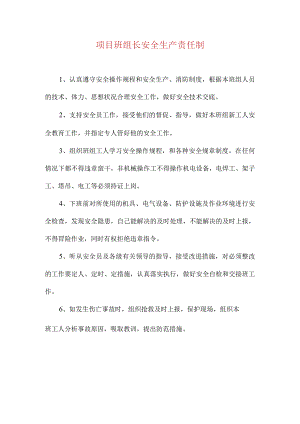 项目班组长安全生产责任制.docx